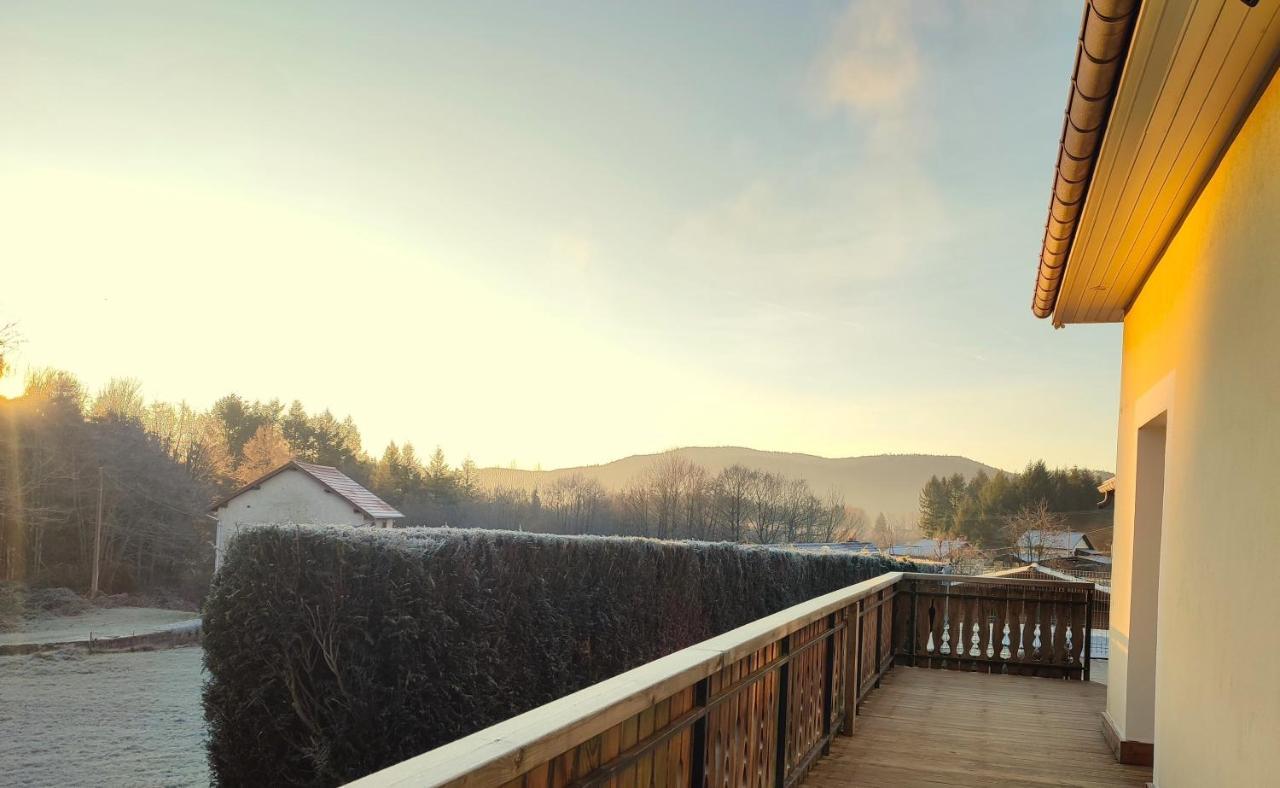 L'Ecrin De Xattys - Gite De Standing-Spa-Terrain De Petanque-Piscine-Switch-Baby-Foot Au Coeur Du Massif Vosgien Cleurie Εξωτερικό φωτογραφία